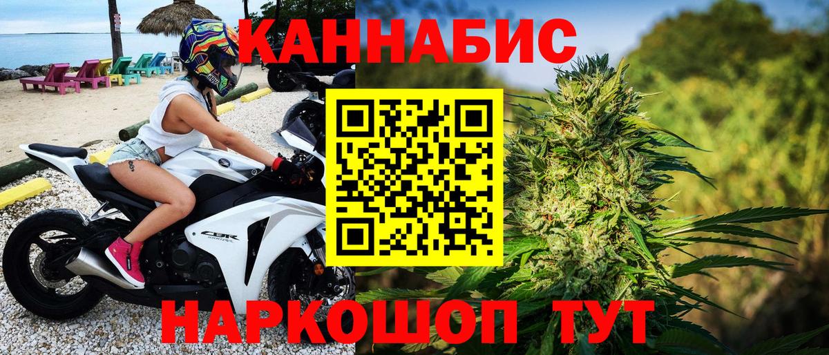 Марихуана OG Kush Кимры